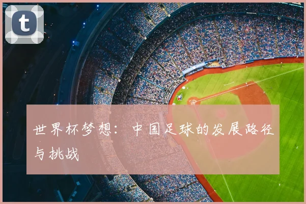 世界杯梦想：中国足球的发展路径与挑战
