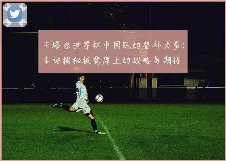 卡塔尔世界杯中国队的替补力量:专访揭秘板凳席上的战略与期待