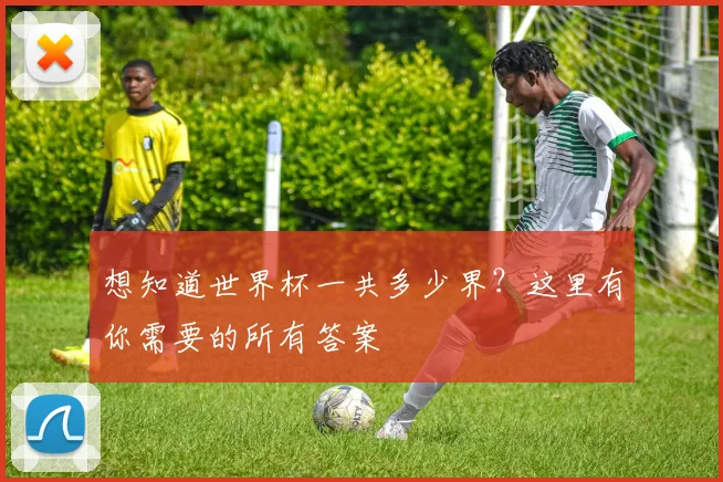 想知道世界杯一共多少界？这里有你需要的所有答案