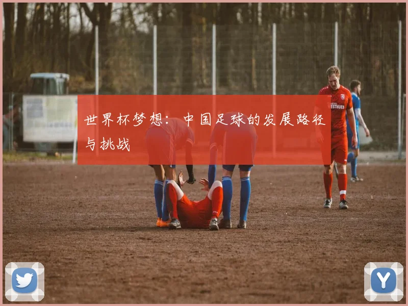 世界杯梦想：中国足球的发展路径与挑战