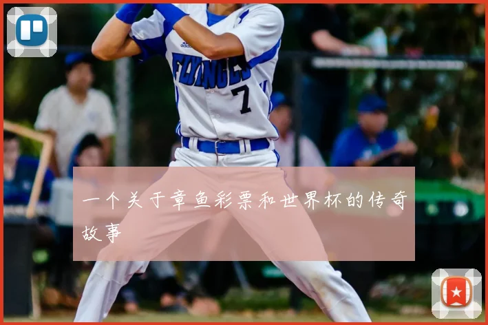 一个关于章鱼彩票和世界杯的传奇故事