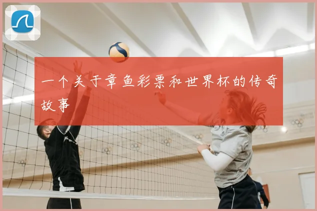 一个关于章鱼彩票和世界杯的传奇故事
